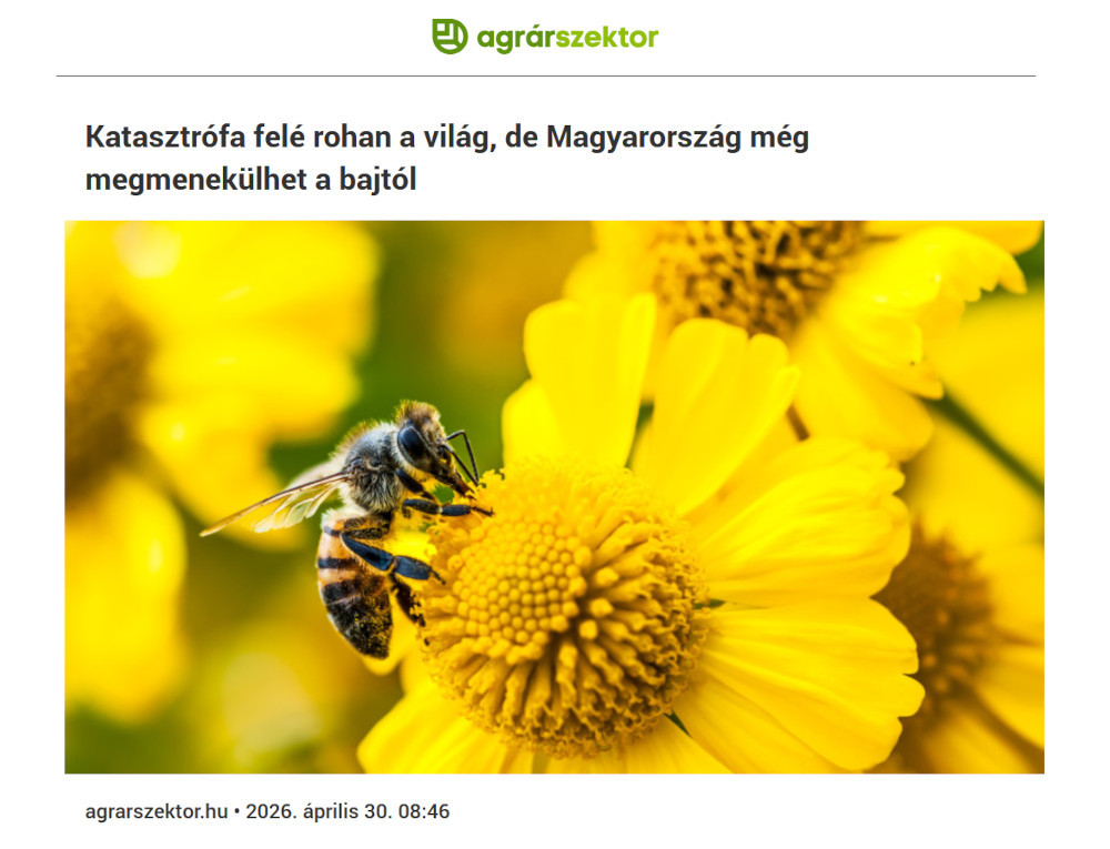 Agrárszektor megjelenés