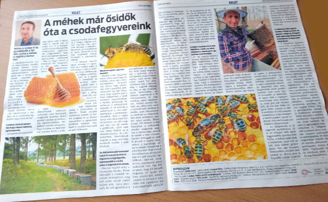 Kelet-Magyarország cikk