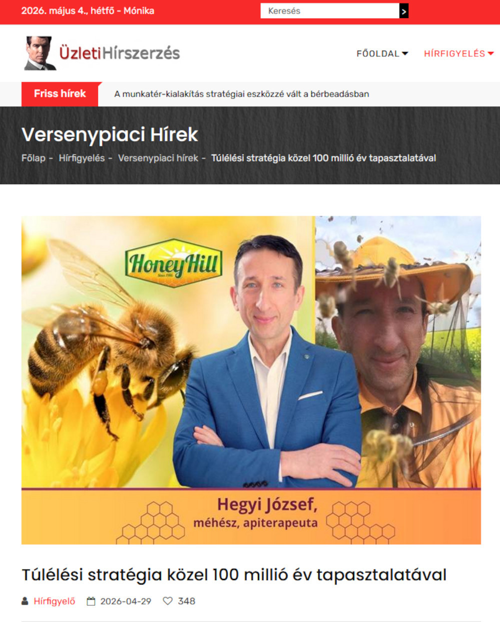 Üzleti Hírszerzés megjelenés